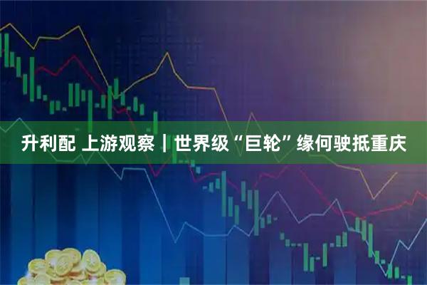 升利配 上游观察|世界级“巨轮”缘何驶抵重庆