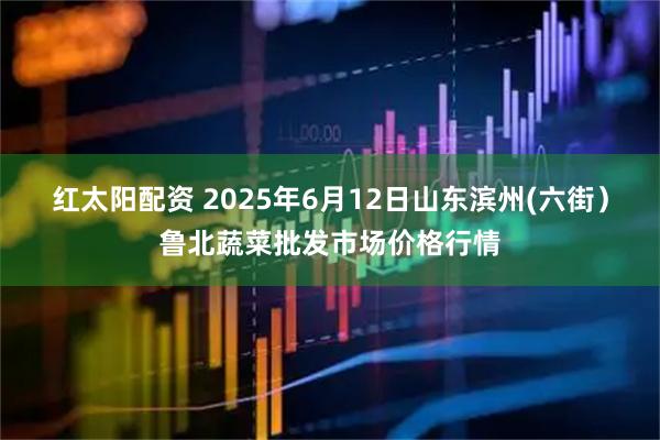 红太阳配资 2025年6月12日山东滨州(六街)鲁北蔬菜批发市场价格行情